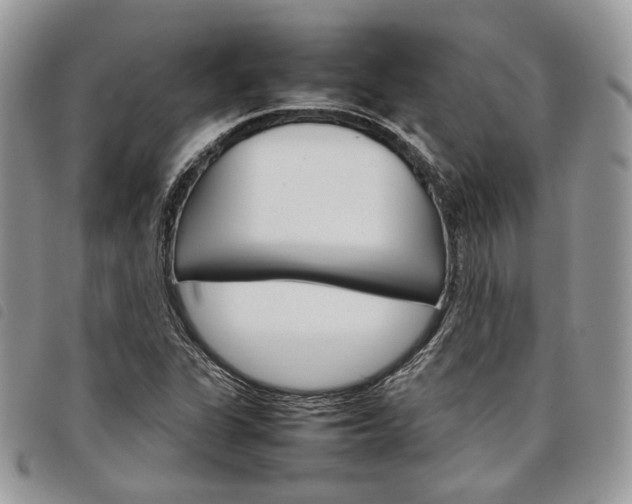 X0000098041311200804071431