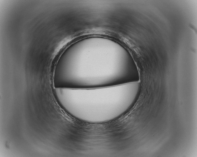 X0000098041312200804071431