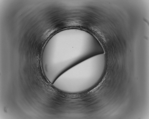 X0000098041313200804071431