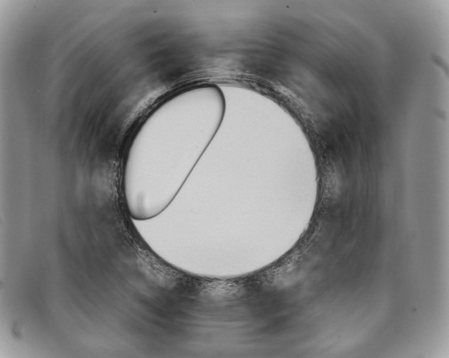 X0000098041314200804071431