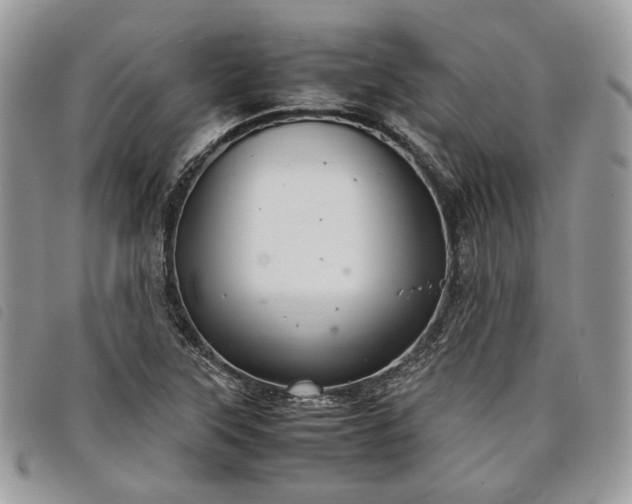 X0000098041315200804071431