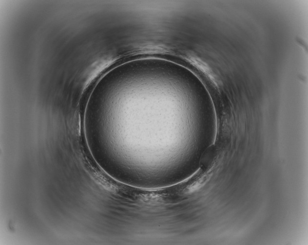 X0000098041317200804071431