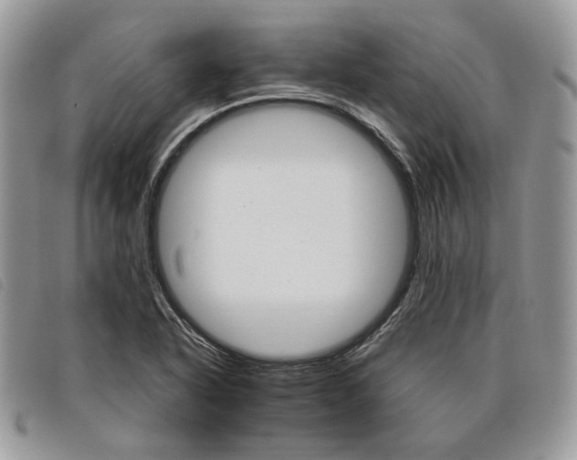 X0000098041318200804071431