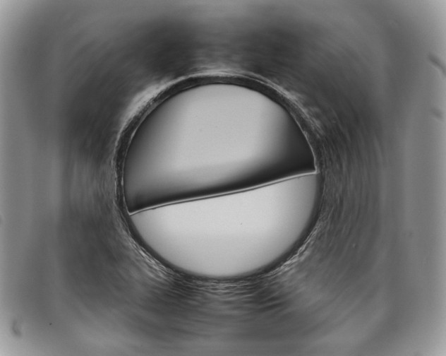 X0000098041319200804071431
