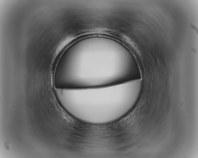 X0000098041320200804071431