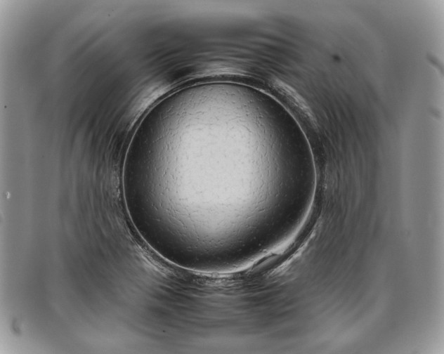 X0000098041321200804071431