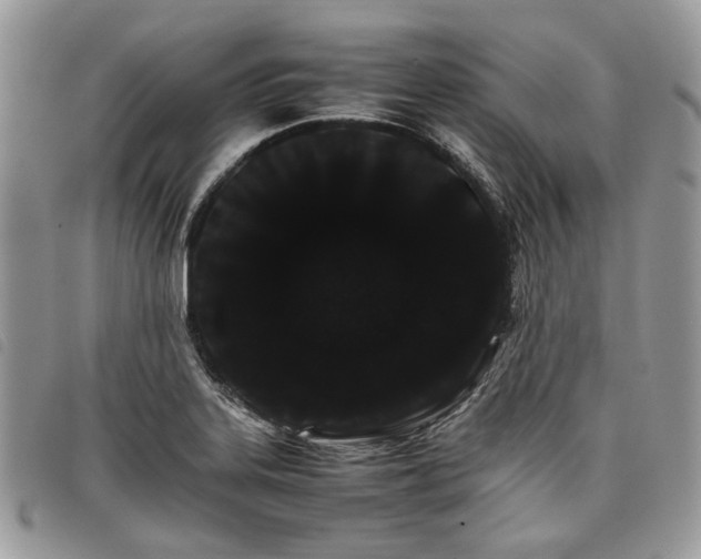 X0000098041323200804071431