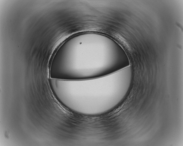 X0000098041324200804071431