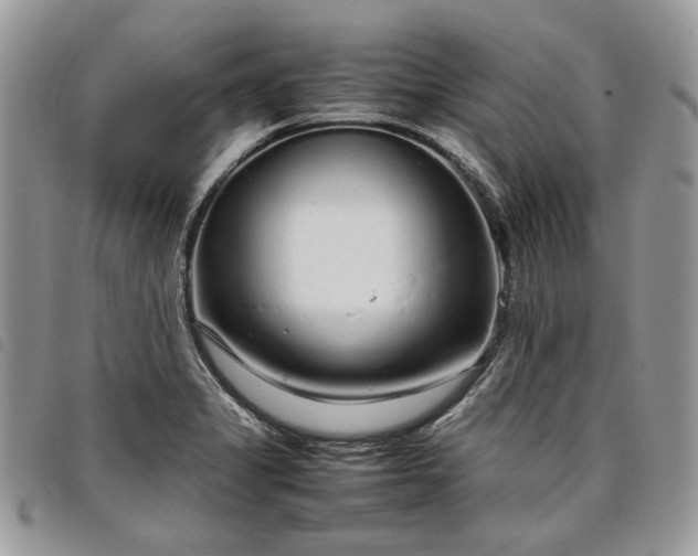 X0000098041325200804071431