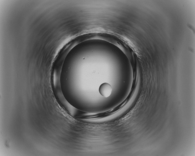 X0000098041326200804071431