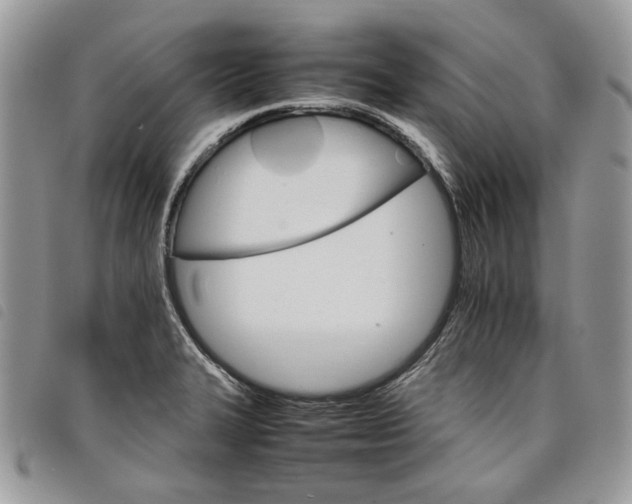 X0000098041327200804071431