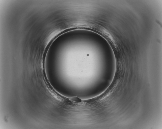 X0000098041328200804071431