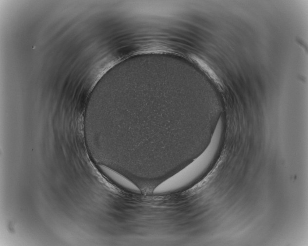X0000098041329200804071431