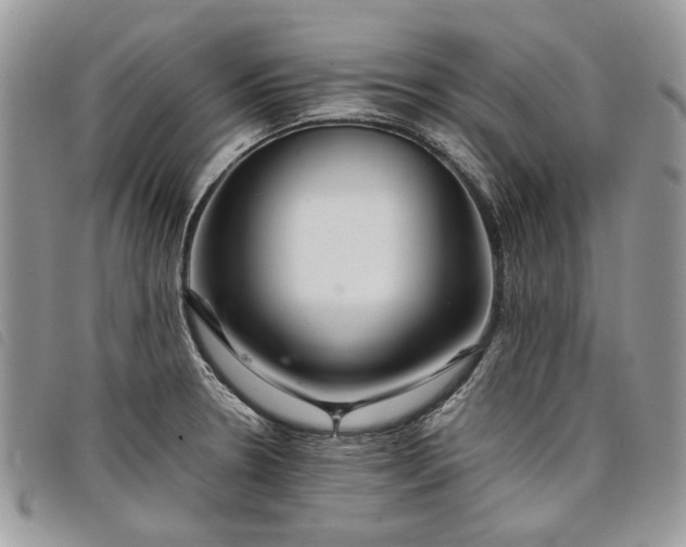 X0000098041330200804071431