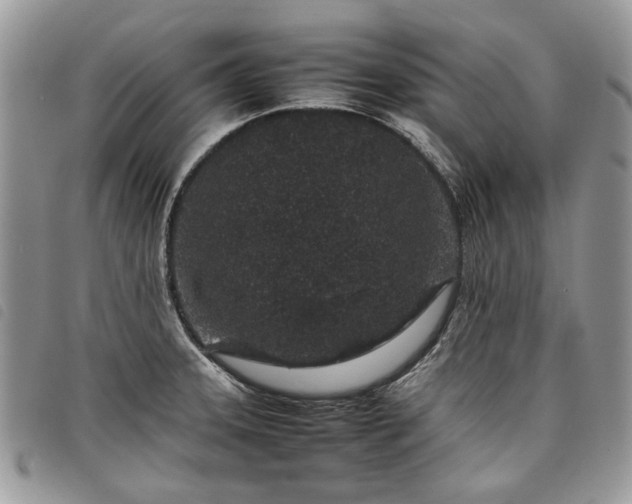 X0000098041331200804071431