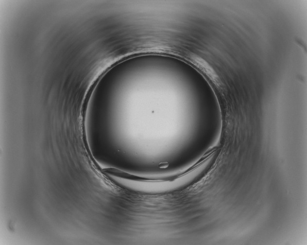 X0000098041332200804071431