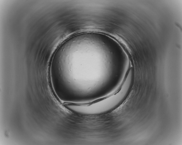 X0000098041333200804071431