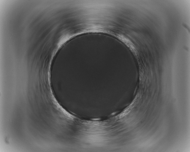 X0000098041334200804071431