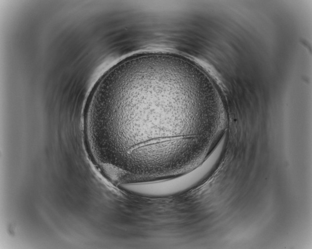 X0000098041335200804071431