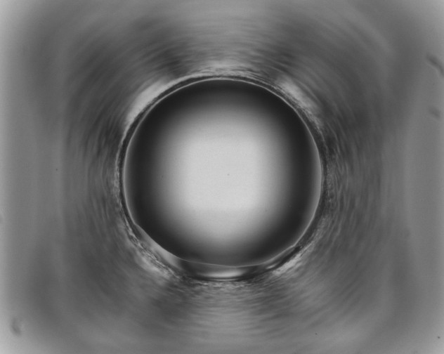 X0000098041336200804071431