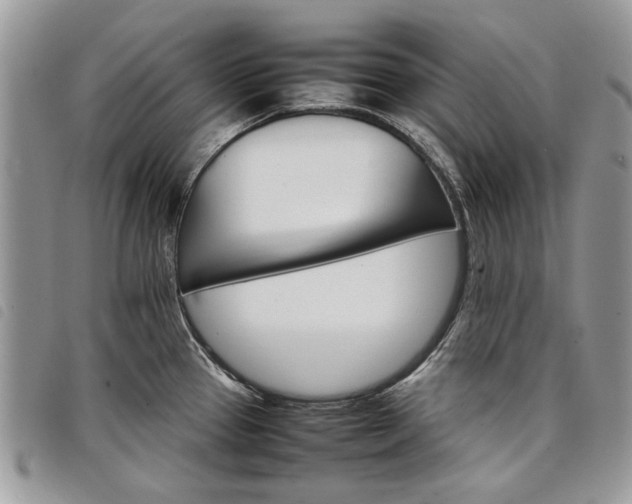 X0000098041337200804071431