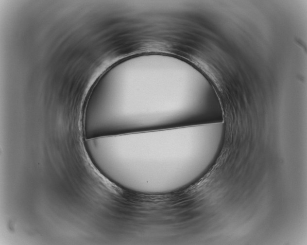 X0000098041339200804071431