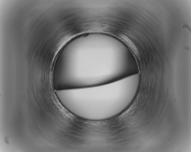 X0000098041340200804071431