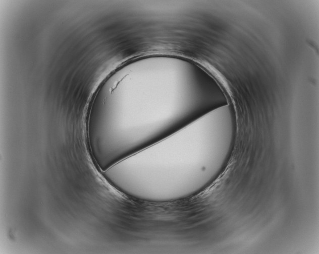 X0000098041341200804071431