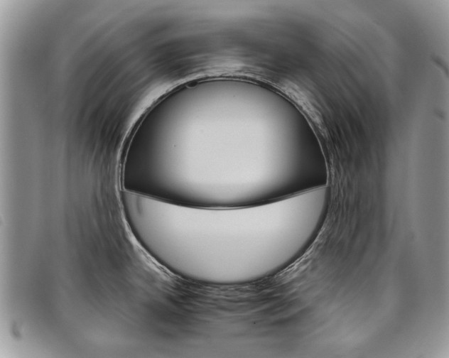 X0000098041342200804071431