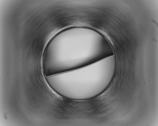 X0000098041343200804071431