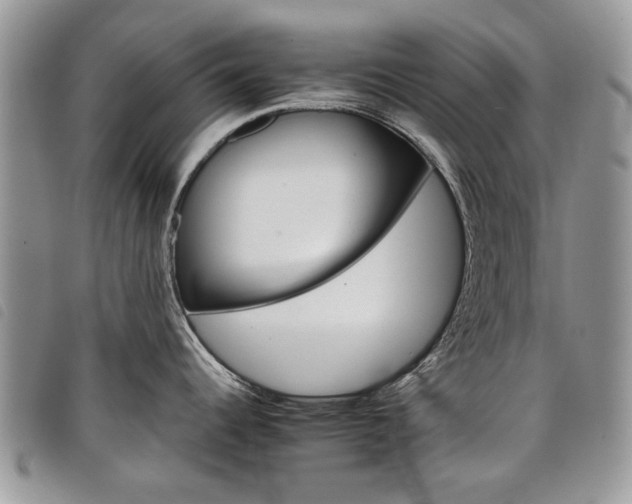 X0000098041344200804071431
