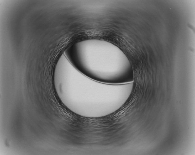 X0000098041345200804071430