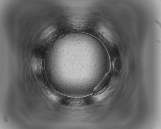 X0000098041347200804071430