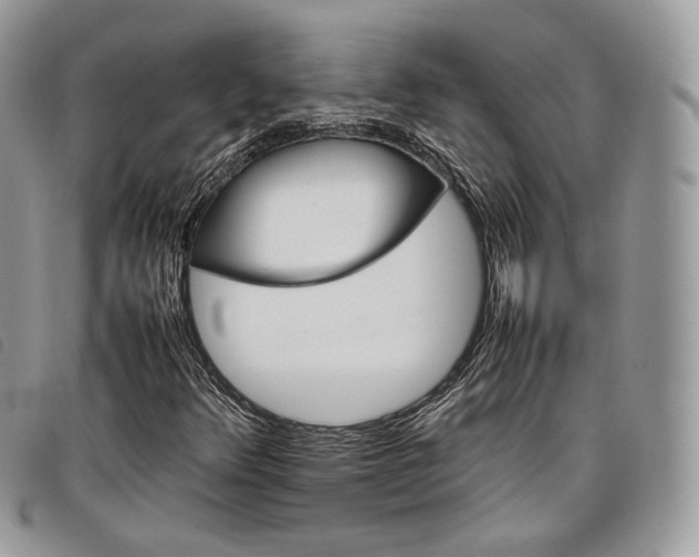 X0000098041348200804071430