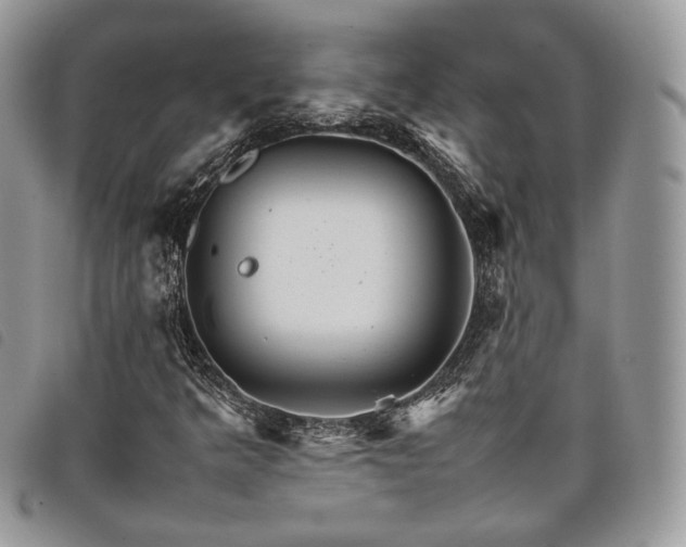 X0000098041349200804071430
