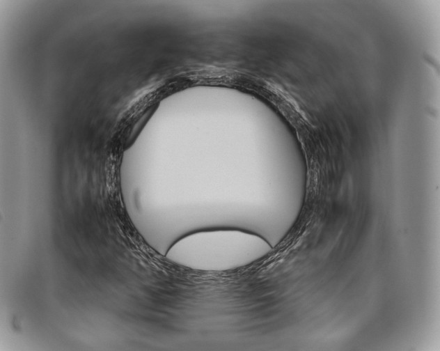 X0000098041350200804071430