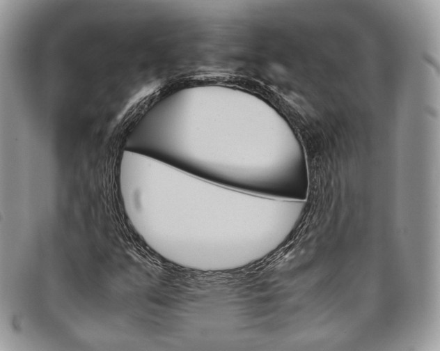X0000098041351200804071430