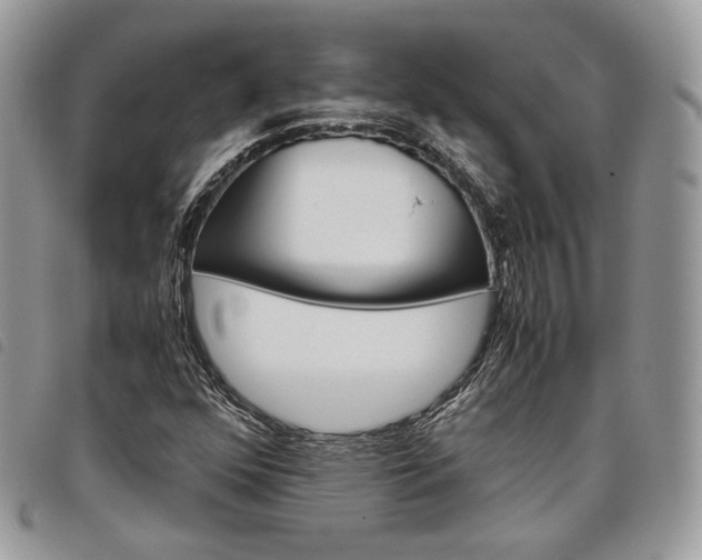X0000098041352200804071430