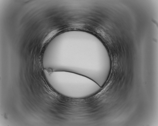 X0000098041354200804071430