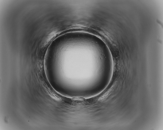 X0000098041355200804071430