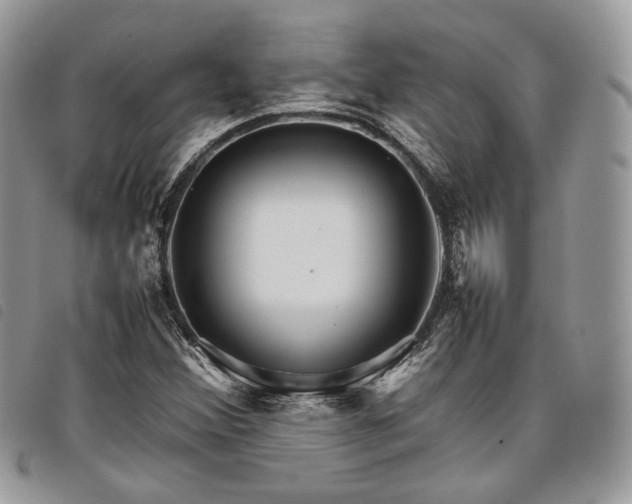 X0000098041356200804071430