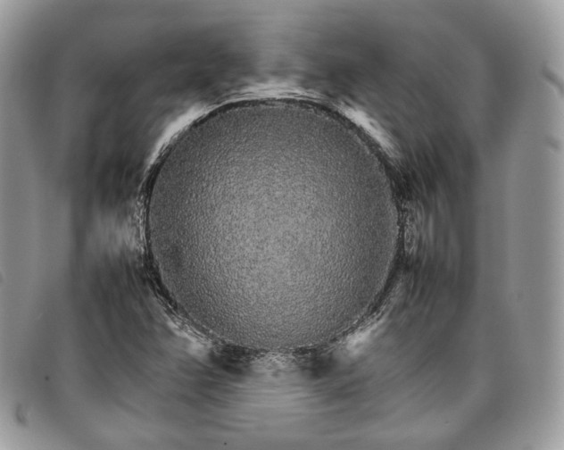 X0000098041358200804071430