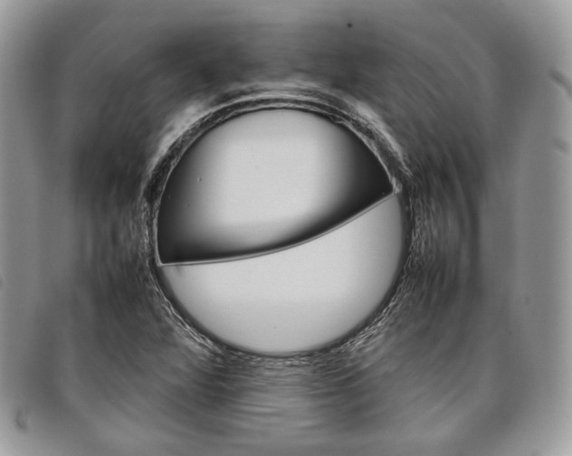 X0000098041360200804071430