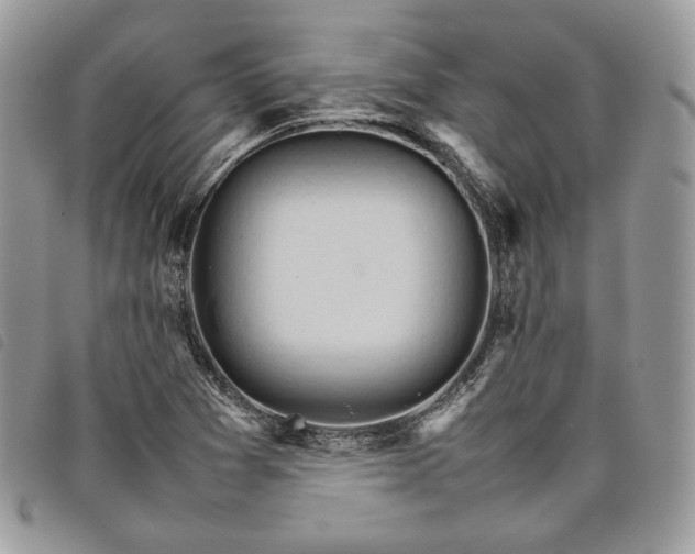 X0000098041361200804071430