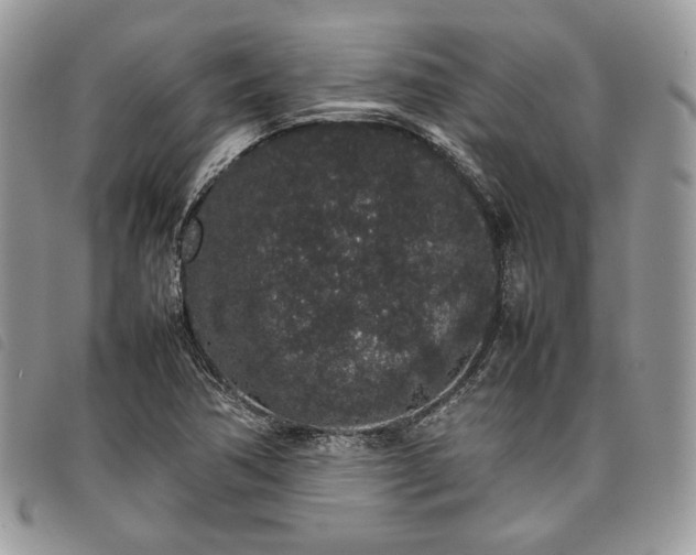 X0000098041362200804071430