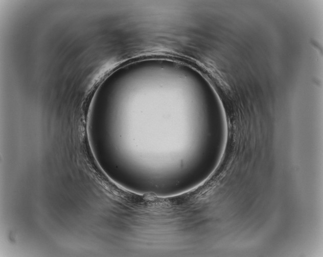 X0000098041363200804071430