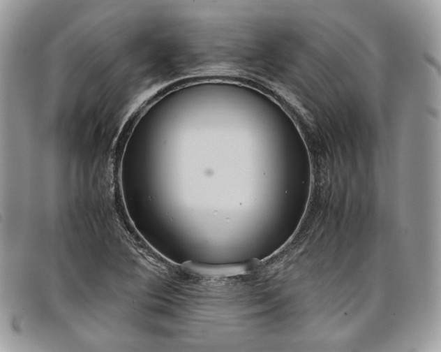 X0000098041364200804071430