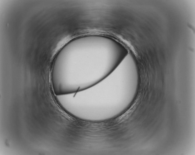 X0000098041365200804071430