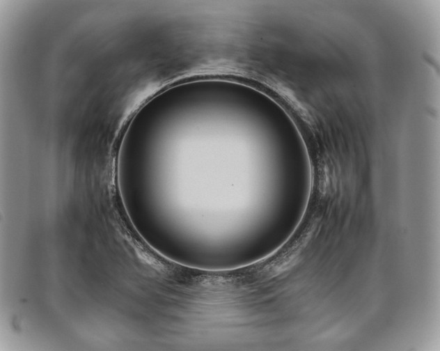 X0000098041366200804071430