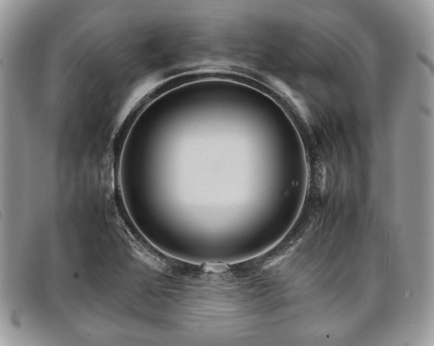 X0000098041368200804071430